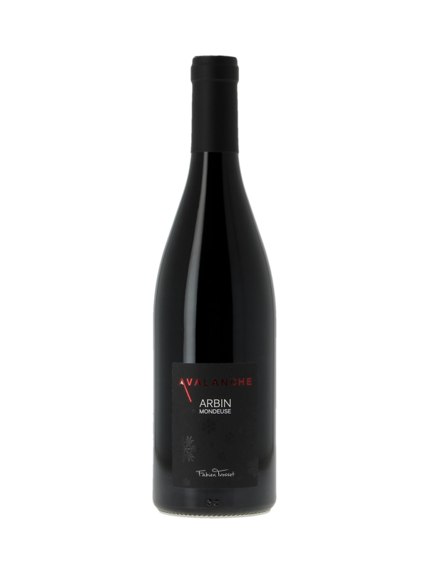 Fabien Trosset Avalanche Arbin Mondeuse