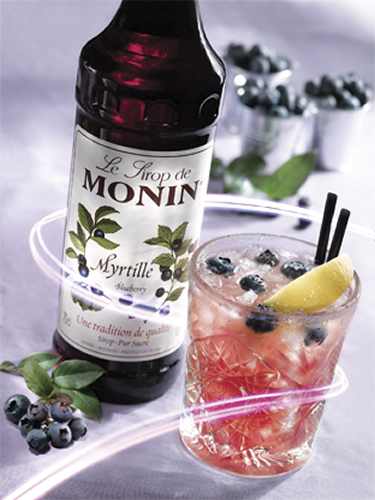 MONIN Blueberry syrup