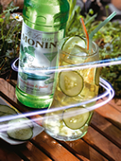 MONIN Cucumber syrup (700ml)