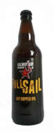 Galway Bay Full Sail IPA