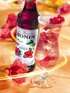 MONIN Hibiscus syrup (700ml)