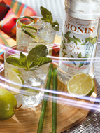 MONIN Mojito Mint syrup (700ml)