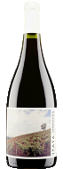 Ungrafted Itata Cinsault