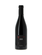 Fabien Trosset Avalanche Arbin Mondeuse