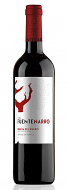 Vina Fuentenarro Ribera del Duero 4 Meses en Barricas